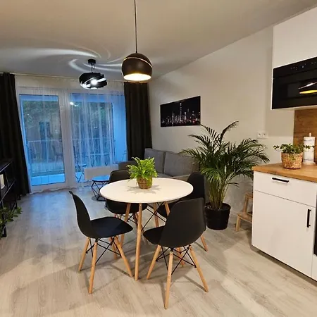 2 With Terrace, New Building, 2bk Apartment
